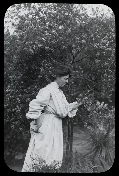 Amy Campbell with Wattle by Archibald James Campbell